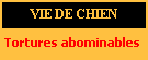 Cliquez ici